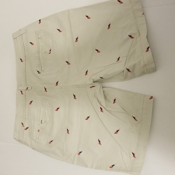 Aeropostale Size 31 Parrot Bermuda Short Khaki Tropical Bird Hawaiian - Picture 6 of 6